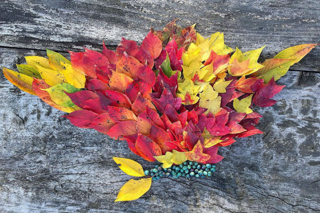 Japoneses fazem arte com folhas caídas do outono