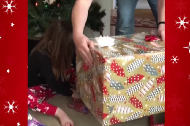 Quando esta menina abre seu presente, ele foge sem ela perceber