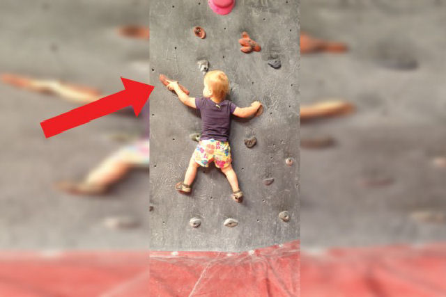 Esta menina escalava paredes antes de aprender a andar