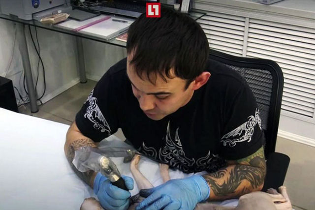 Tatuador russo desperta a controvérsia após tatuar sua gata sem pelo