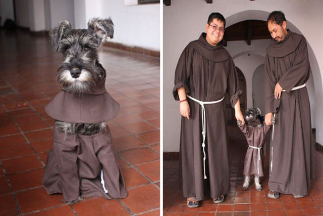 Schnauzer adotado por monges é o mais novo frei de um mosteiro franciscano