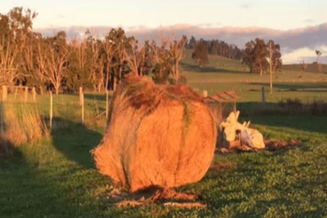 Um fardo de feno se move inexplicavelmente por um pasto australiano