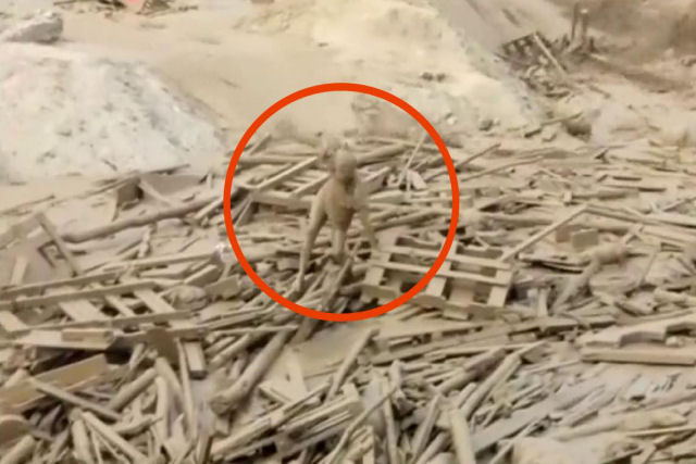 Impressionante! Mulher emerge dos escombros depois de uma avalanche no Peru