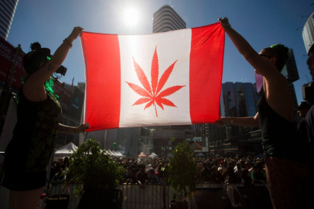 Canadá prepara-se para legalizar a maconha no próximo mês de julho em todo o país
