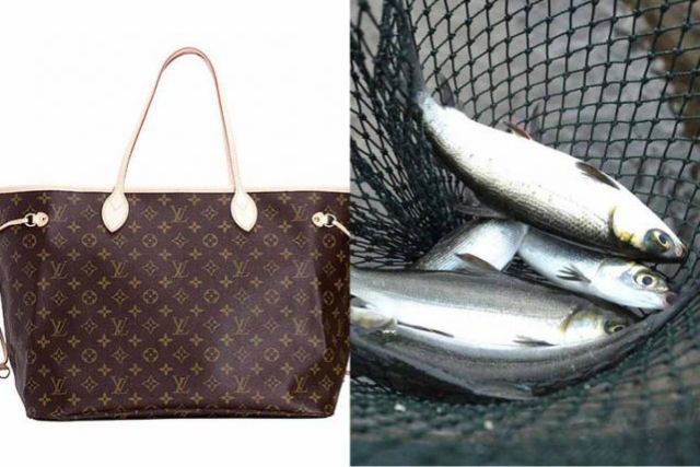 Vovó usa bolsa Louis Vuitton de mil dólares, presente do neto, para carregar peixes