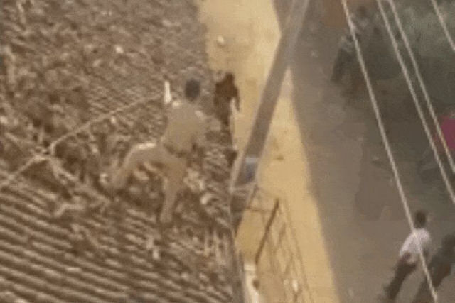 Homem salta de cima de uma casa para evitar o ataque de um leopardo