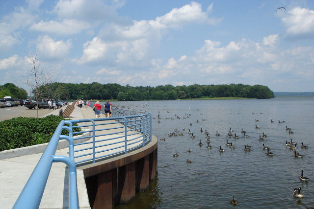 Reservatrio de Linesville: onde os patos caminham sobre peixes