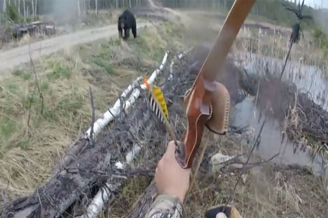 Canadense grava o assustador momento em que sofre o ataque de um urso negro