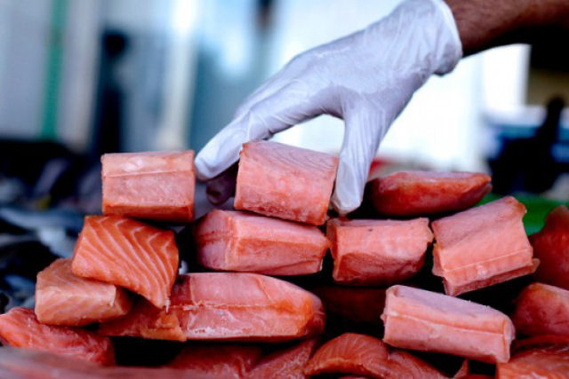 Se você gosta de salmão esta pode ser uma má notícia