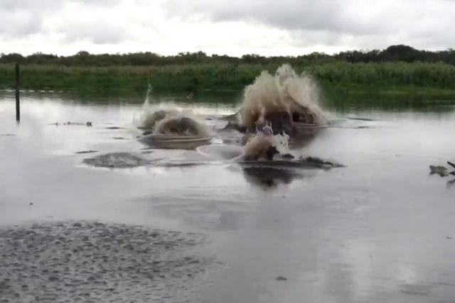 Que animal se esconde sob as águas deste inquietante vídeo viral gravado na Flórida