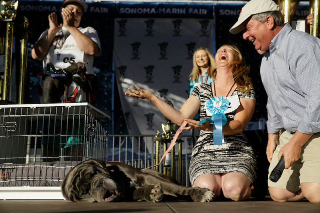 Apresentamos Martha, a ganhadora do concurso de cães mais feios do mundo