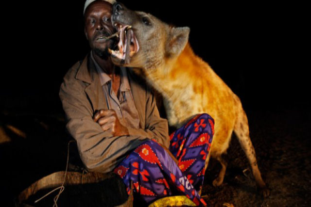 Os ?homens-hiena? de Harar alimentam hineas selvagens à mão todas as noites