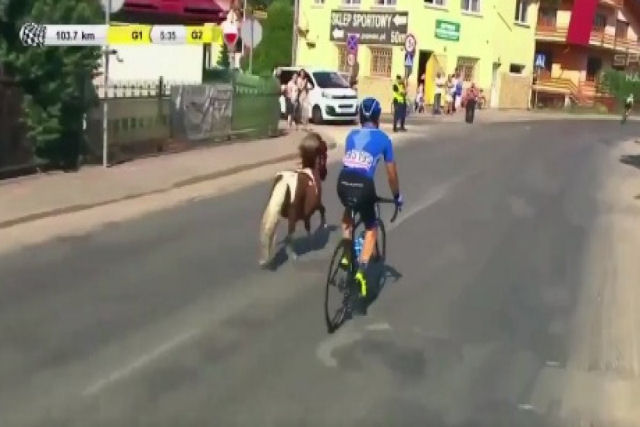 Pônei tenta ganhar uma etapa da Volta de Ciclismo da Polônia