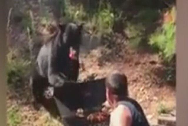 Dois homens enfrentam um urso que tenta roubar seu churrasco