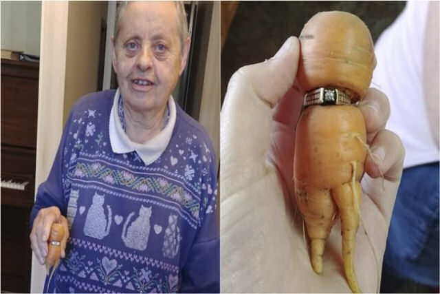 Mulher de 84 anos encontra seu anel de noivado perdido envolto por uma cenoura de sua horta