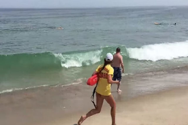 Dois surfistas escapam do ataque de um tubarão