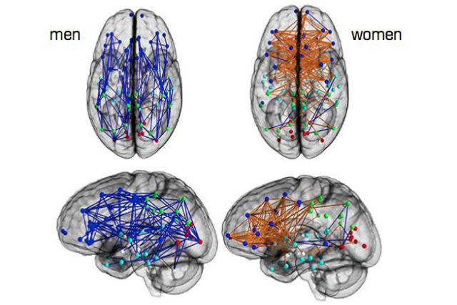 Mapa de conexões neuronais mostra que homens e mulheres têm habilidades diferentes