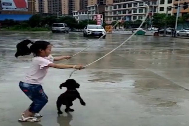 Garota e seu cão alegremente pulam corda juntos
