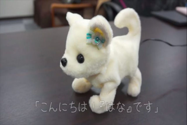 Empresa japonesa inventa cãozinho robótico que desmaia se você tiver chulé