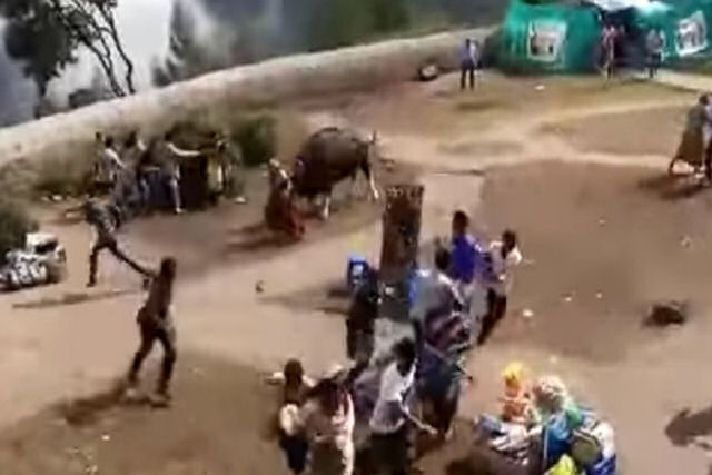 Enorme bisão irrompe violentamente em um povoado turístico