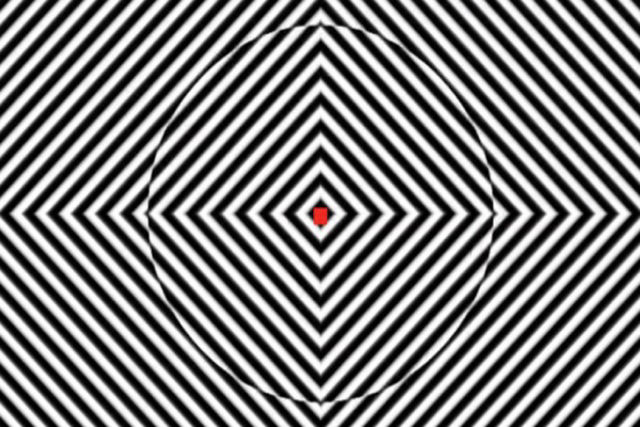 Esta ilusão óptica lhe dará uma ideia do que é uma alucinação