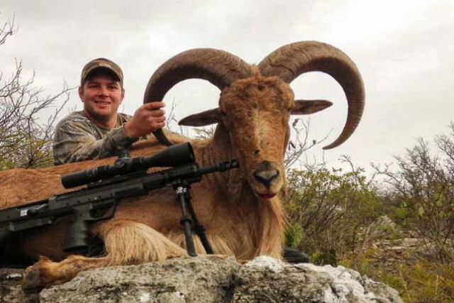 Rancho do Texas acolhe animais em perigo de extinção e vende a caçadores como troféus