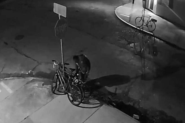 Pacincia e dedicao ao trabalho: ladro desmonta um sinal de trnsito para roubar uma bicicleta