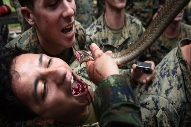 O insano treinamento militar em que os soldados bebem sangue de cobra e comem escorpies