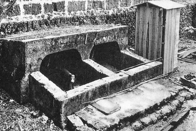 As latrinas de porcos, uma soluo para a ausncia de esgoto na antiguidade