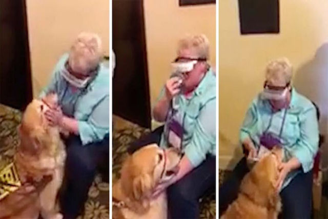 Mulher cega usando culos especiais v sua cadela-guia pela primeira vez em seus oito anos juntos
