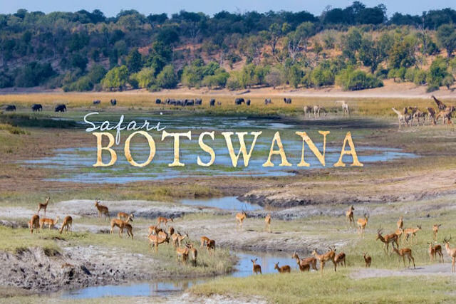 Time-lapse espetacular mostra os incrveis destinos tursticos de um safri em Botswana