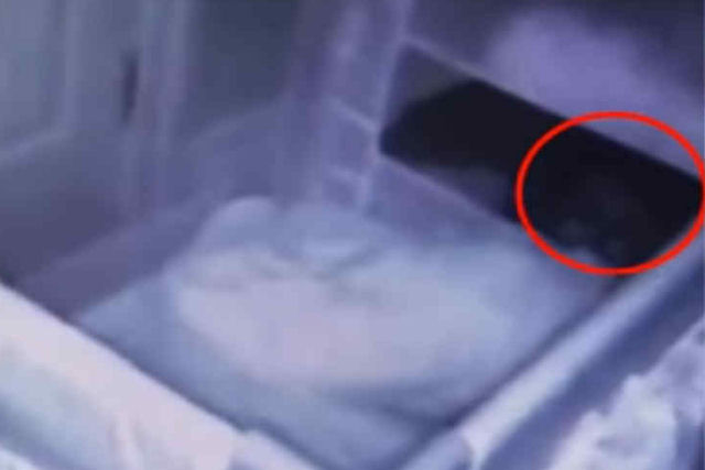 Pais instalam uma cmera para saber por que o beb chorava de noite e tiveram uma surpresa