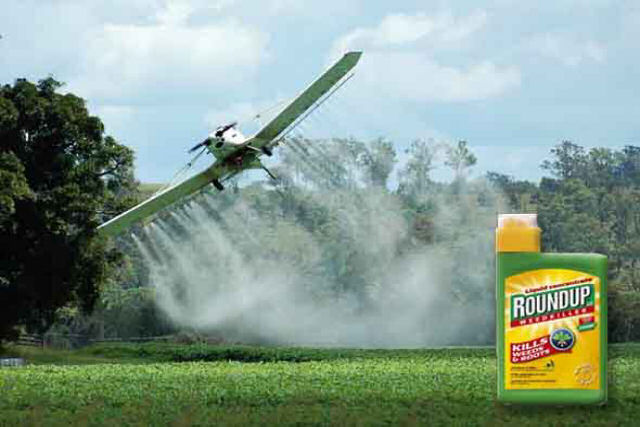 Jardineiro com cncer processa a Monsanto em histrico julgamento por ocultar risco de produtos cancergenos