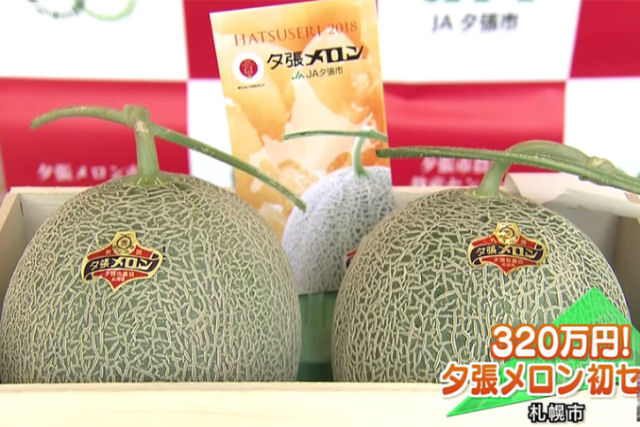 Leiloam dois meles por mais de 110 mil reais, no Japo