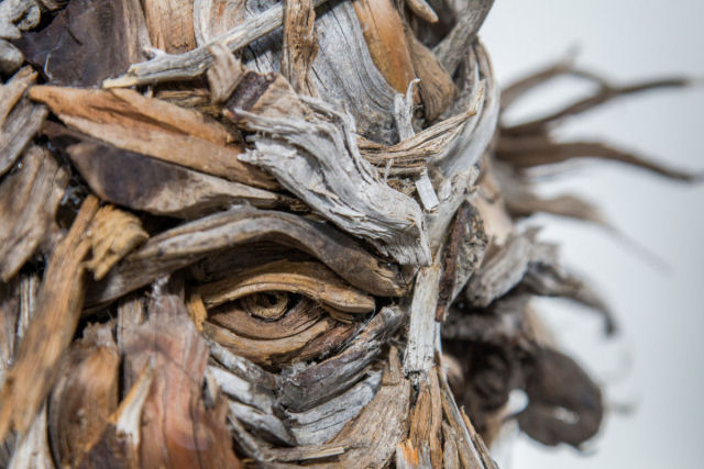 Faces retorcidas emergem de retratos esculturais feitos com restos de madeira