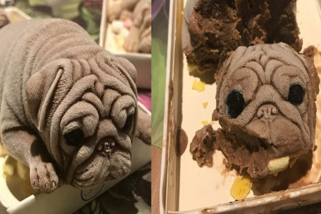 Caf taiwans torna-se viral por seu sorvete canino horripilantemente realista