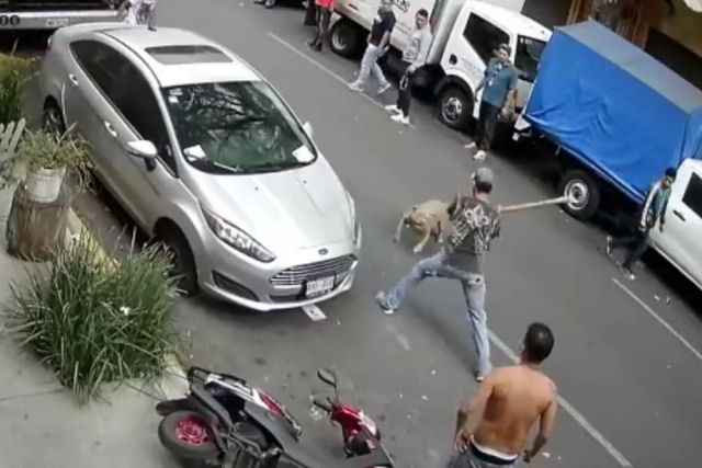 Mexicano enfrentou um pitbull para defender seu cozinho
