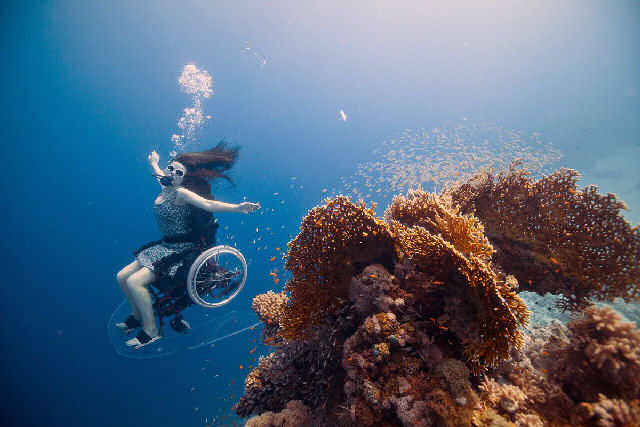 Cadeira de rodas especialmente adaptada permite que artista mergulhe no oceano