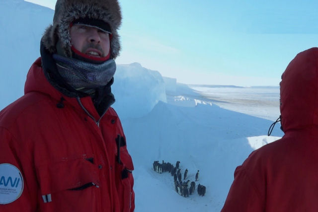 O momento em que a equipe da BBC Earth intervm pela primeira vez para salvar a uma colnia de pinguins