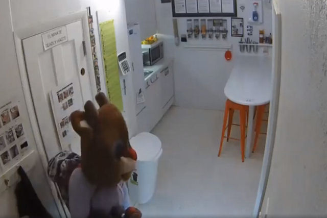 Rudolph, a rena,  flagrada roubando uma loja nos EUA