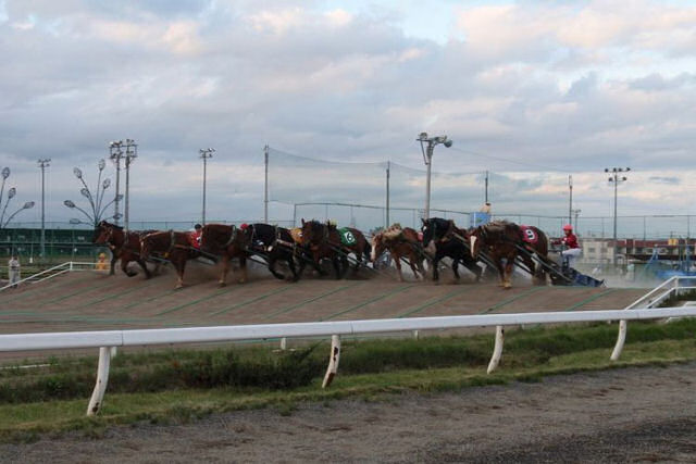 Ban'ei: a corrida de cavalos mais lenta do mundo