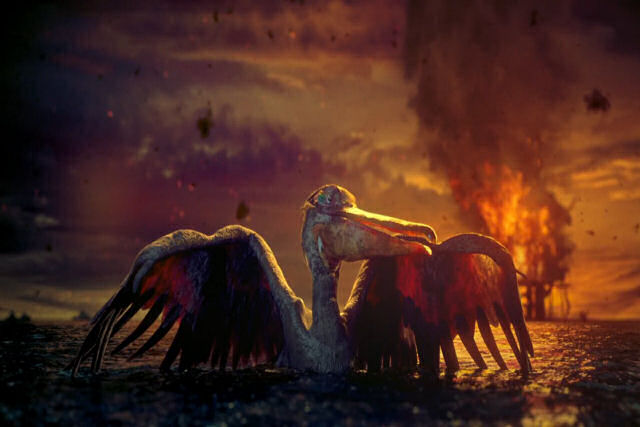 Bela animao mostra 4 animais ameaados cantando o tema de Os Miserveis
