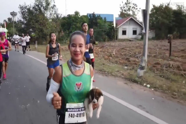Atleta recolhe um filhote perdido e corre mais de 30 quilmetros de uma maratona com o animal nos braos