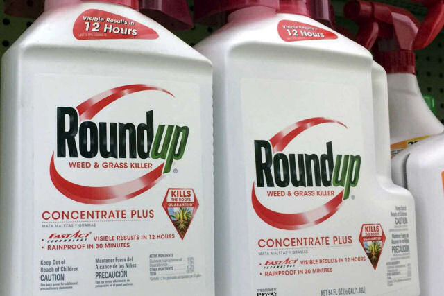 Monsanto enfrenta julgamento que poderia confirmar que um de seus produtos  cancergeno