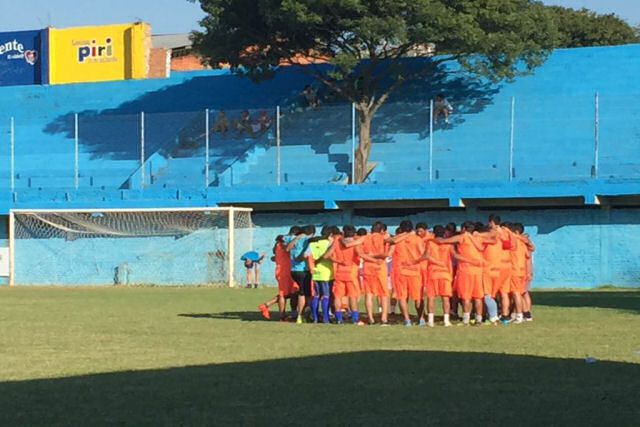 rvore nas arquibancadas de um estdio de futebol  a torcedora mais famosa de equipe paraguaia