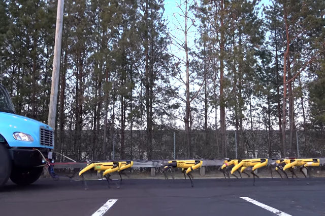 Um rebanho de dez robôs SpotMini rebocam puxam um caminhão no estacionamento da Boston Dynamics