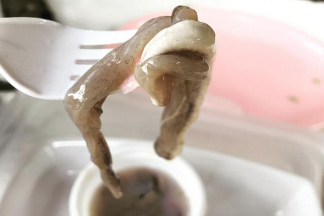 Dizem que este verme filipino tem gosto de ostra