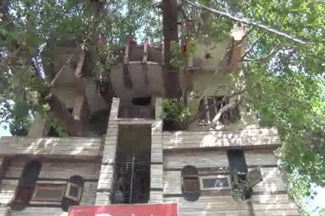 Em vez de cortar, famlia indiana constri casa em torno de rvore de 150 anos