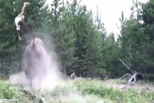 Um biso atacou e lanou uma menina pelos ares no parque de Yellowstone