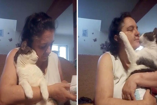 Gatinha deficiente parece demonstrar um grato carinho a sua humana